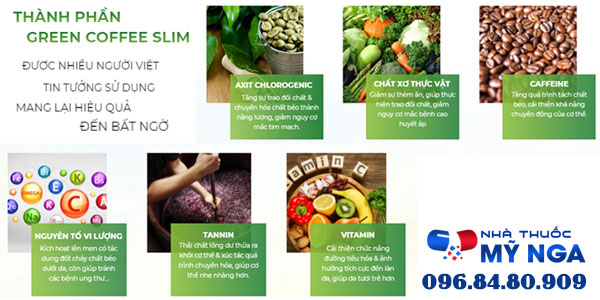 thành phần có trong green coffee slim