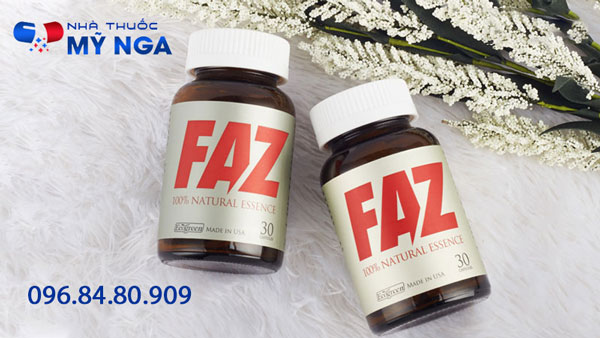 Giới thiệu Faz