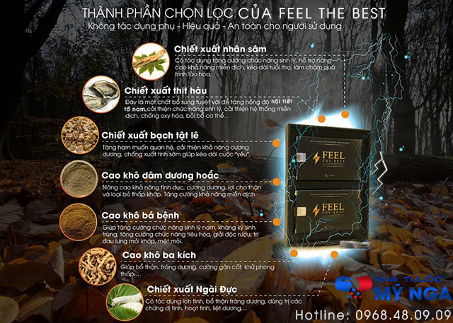 thành phần feel the best
