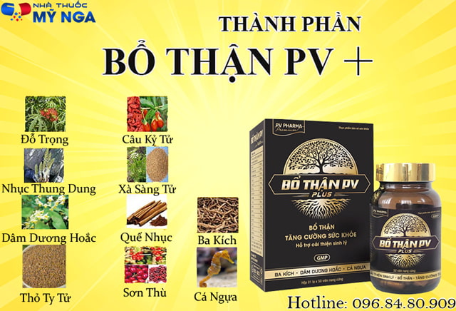 thành phần bổ thận pv plus