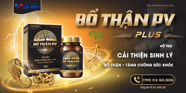 giới thiếu bổ thận pv plus