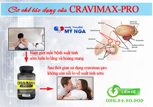 cơ chế của cravimax pro