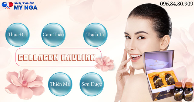 thành phần collagen haulink