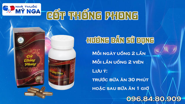 hướng dẫn sử dụng cốt thống phong