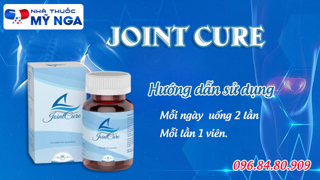 hướng dẫn sử dụng joint cure