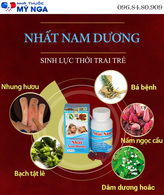 thành phần nhất nam dương