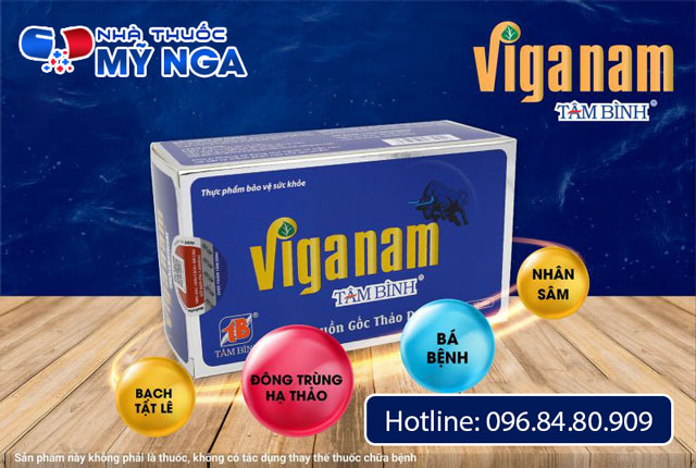 Giới thiệu Viganam Tâm Bình