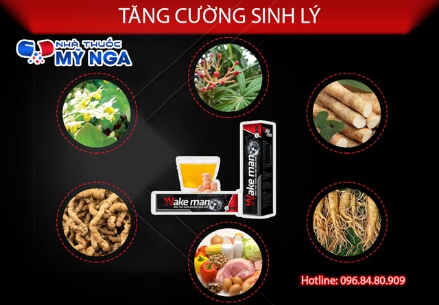 Thành phần Wake Man