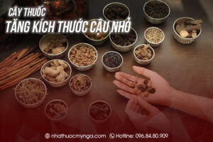 Cây thuốc tăng kích thước cậu nhỏ