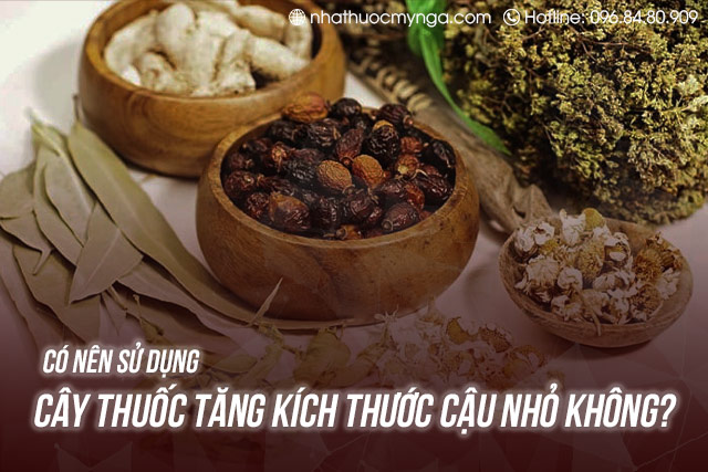 có nên sử dụng cây thuốc tăng kích thước cậu nhỏ không