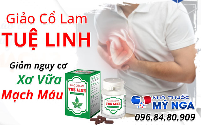 giới thiệu giảo cổ lam tuệ linh