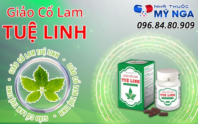 thành phần giảo cổ lam tuệ linh