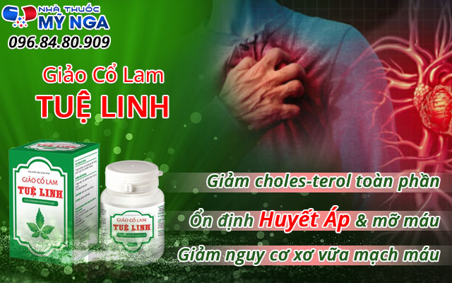 công dụng giảo cổ lam tuệ linh